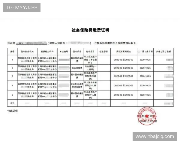 多米体育国际娱乐账号安全维护技巧保障个人信息与资金安全